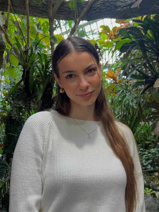 Simona - Kordinátor
